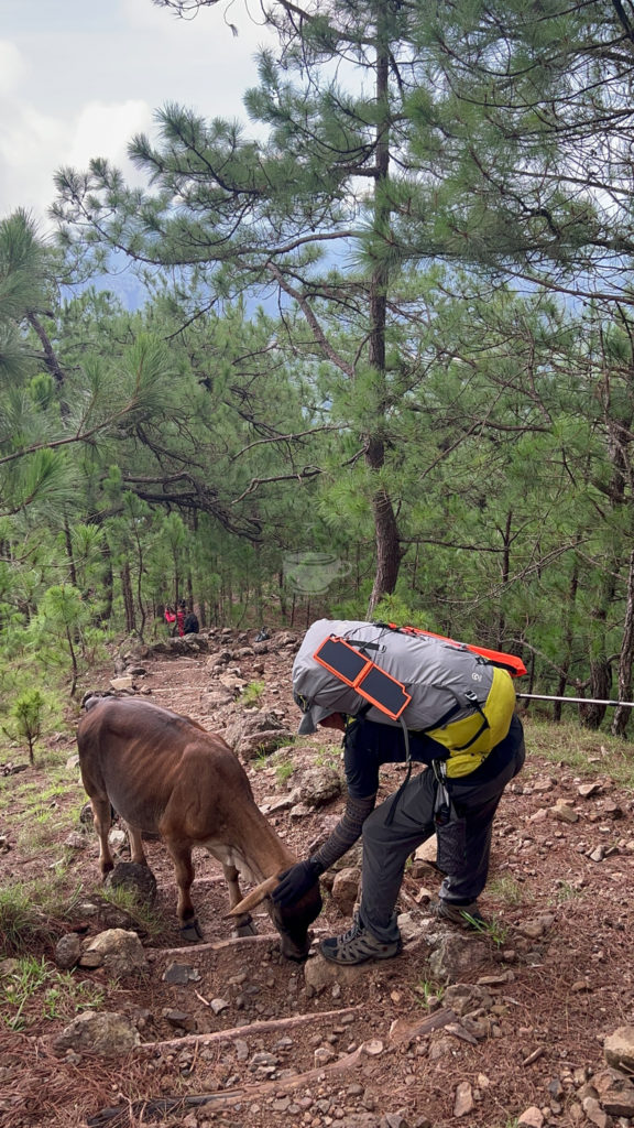 Mt. Ulap Camping Guide 13